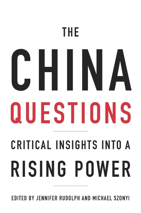 Cover of The China Questions